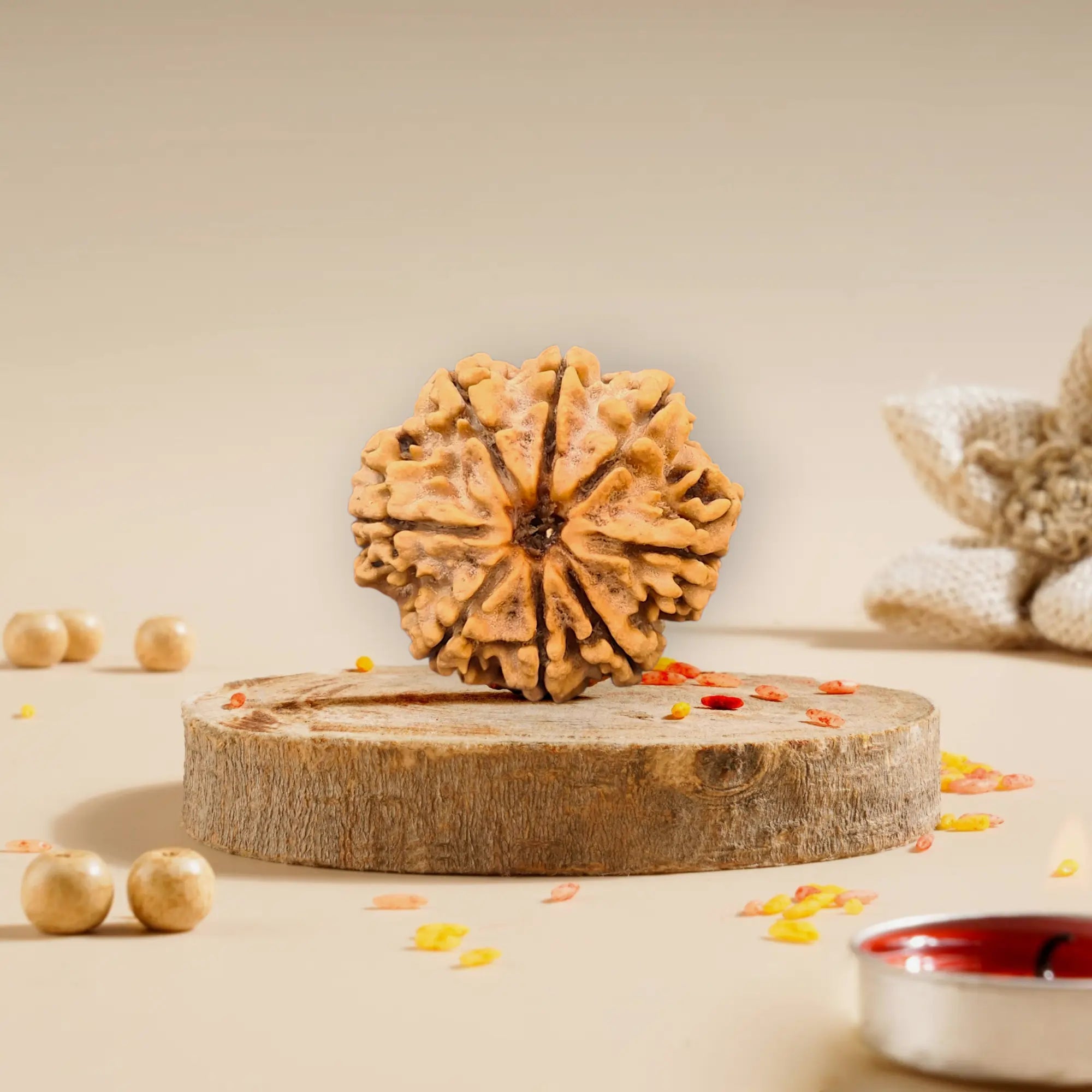 8 Mukhi Rudraksha Nepali 