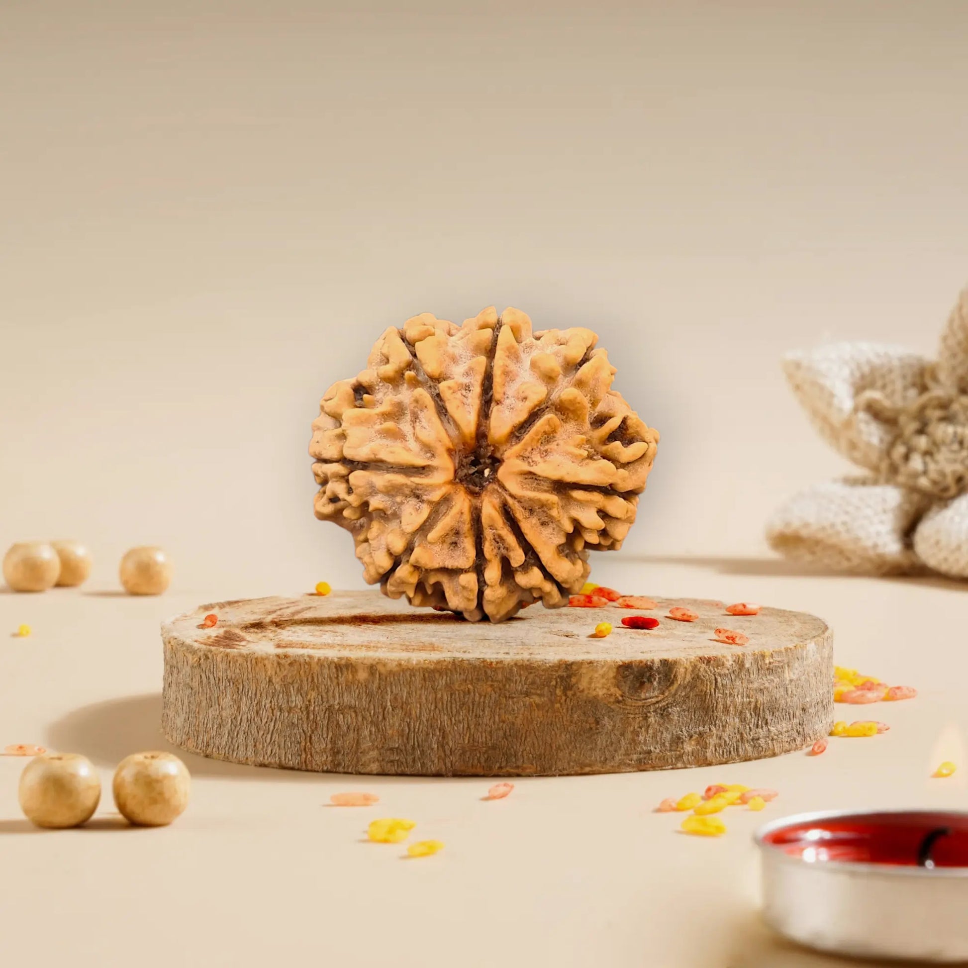 8 Mukhi Rudraksha Nepali 