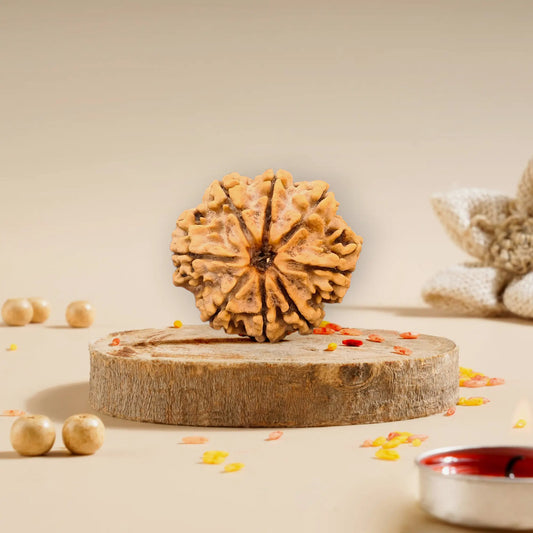 8 Mukhi Rudraksha Nepali 