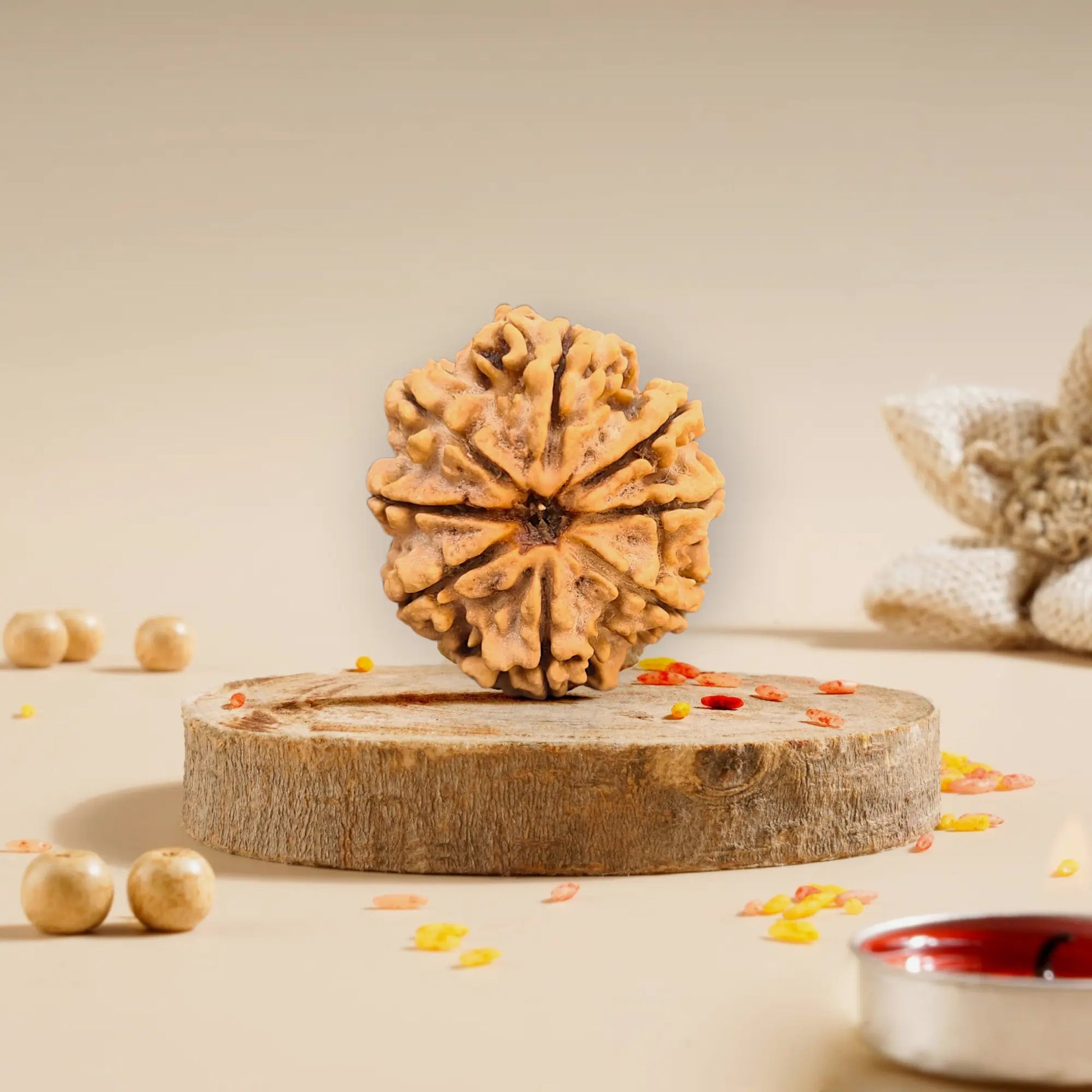 8 Mukhi Rudraksha Nepali 