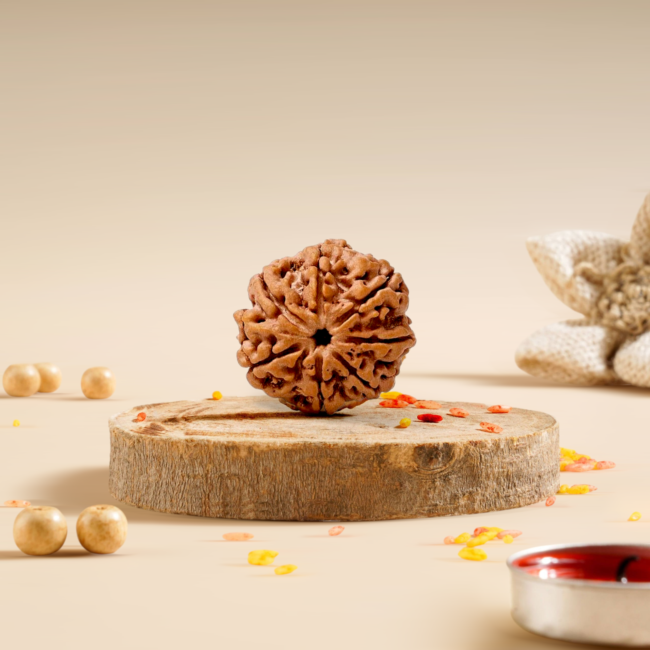 7 Mukhi Rudraksha Nepali 