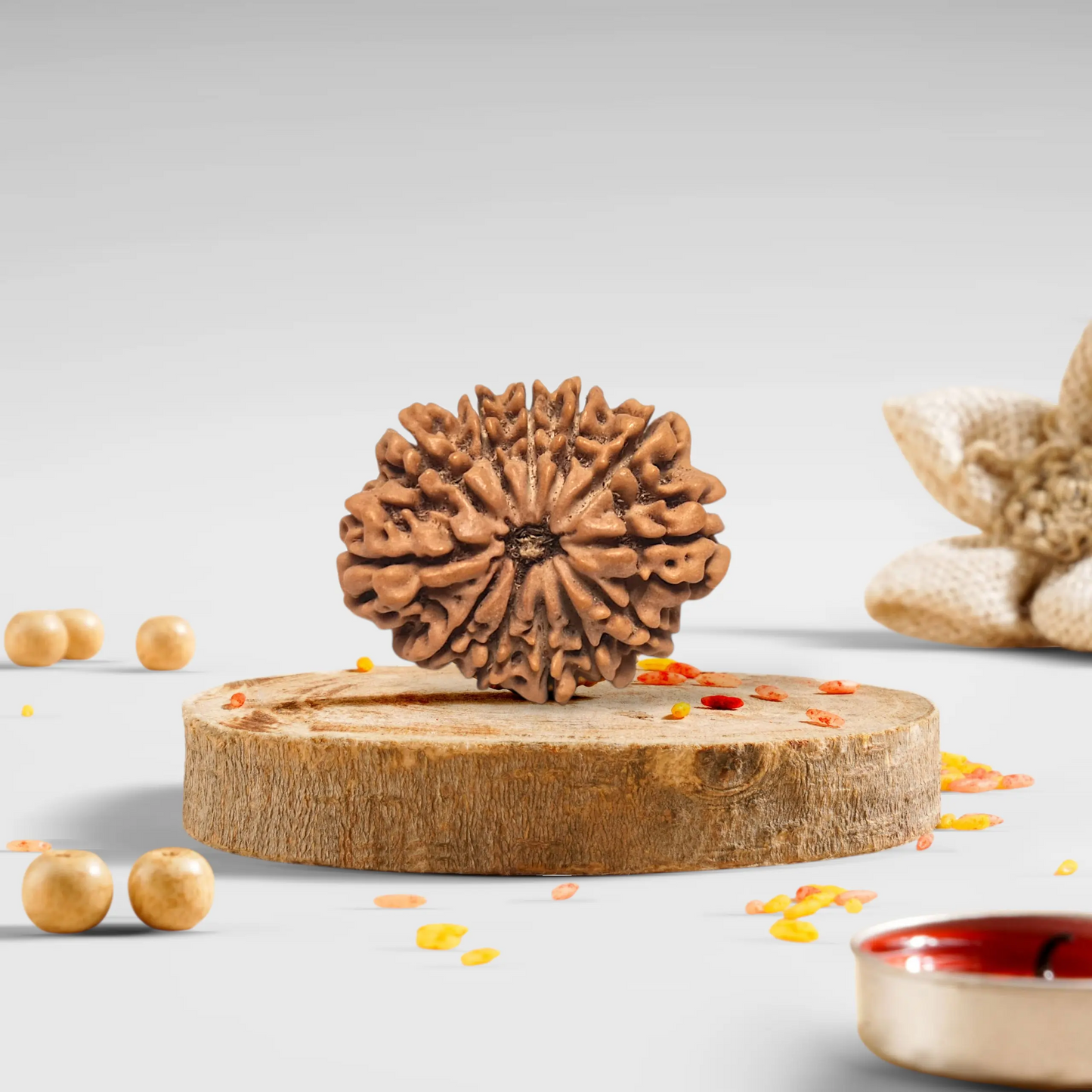 12 Mukhi Rudraksha Premium 