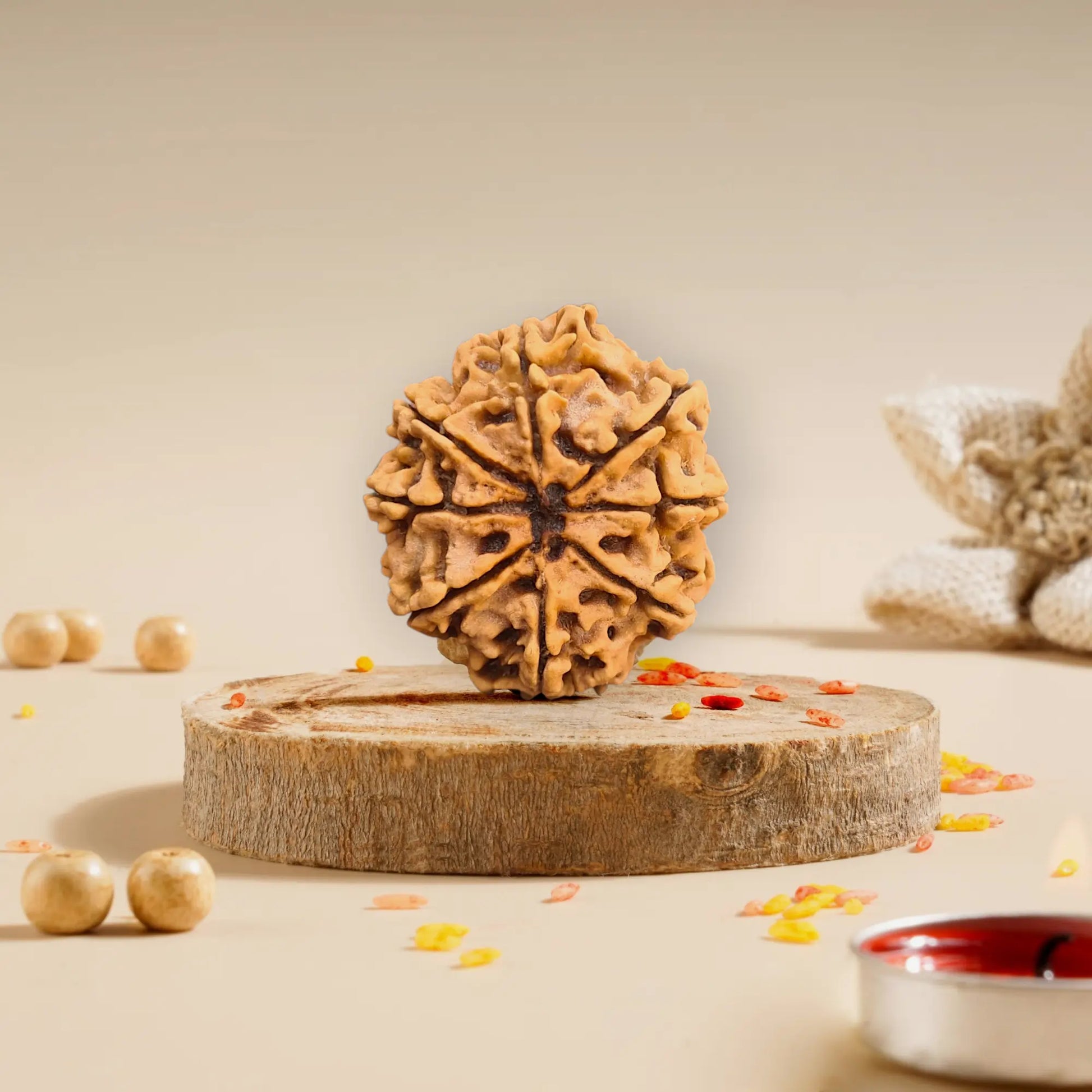 8 Mukhi Rudraksha Nepali 