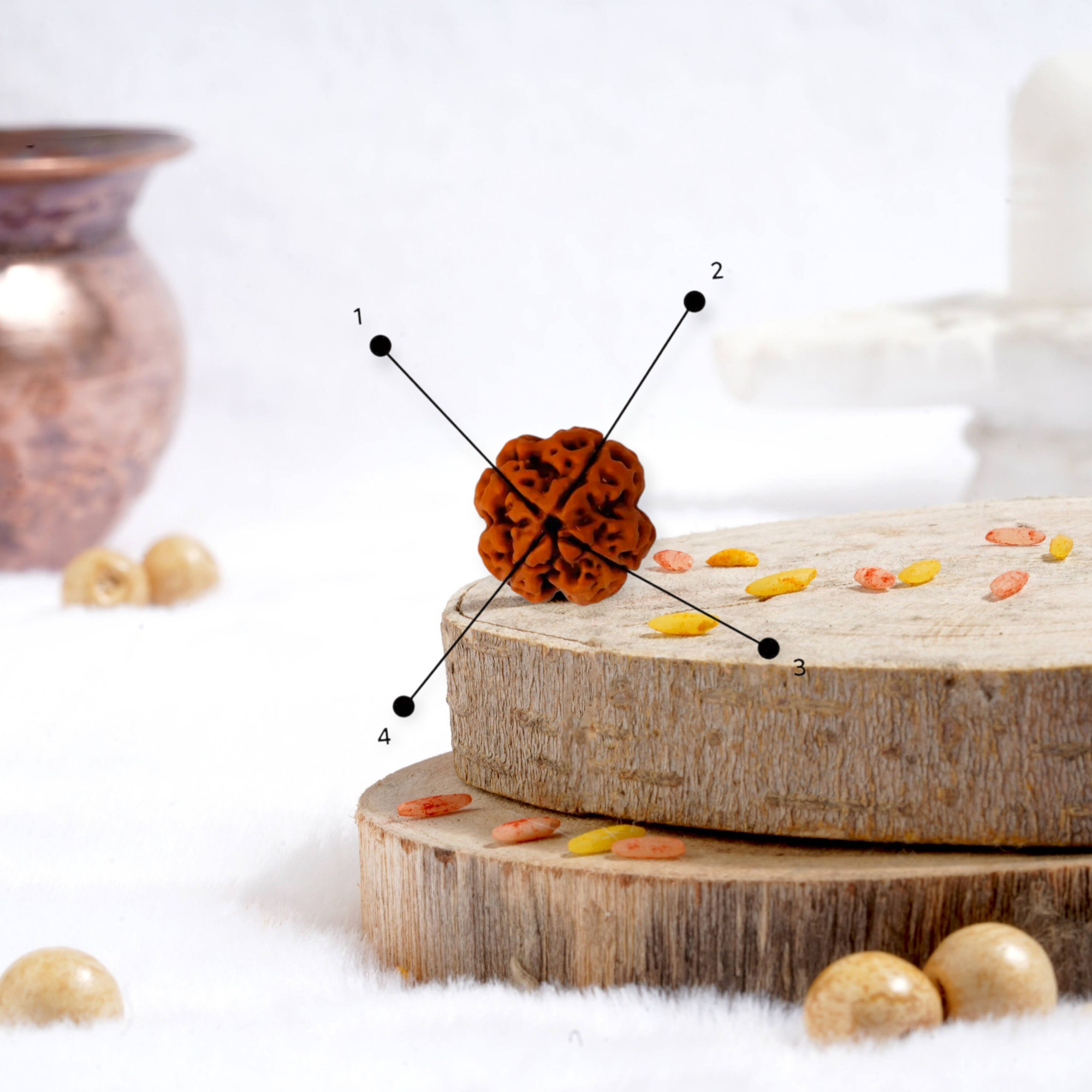 4 Mukhi Rudraksha