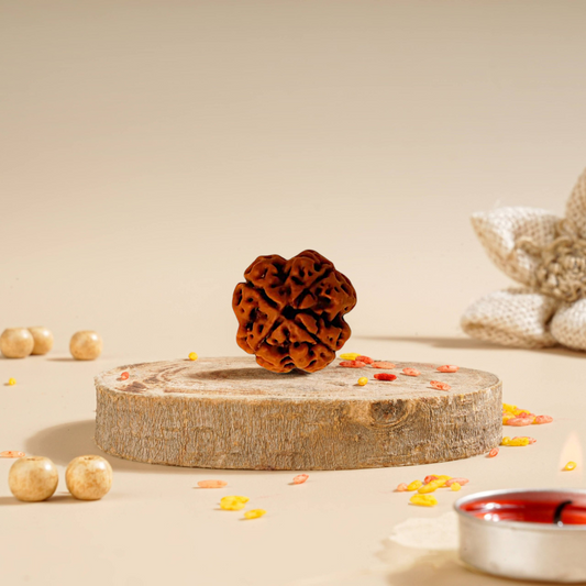 4 Mukhi Rudraksha