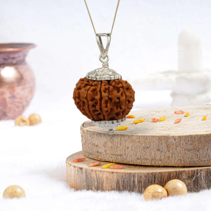 9 Mukhi Rudraksha Nepali