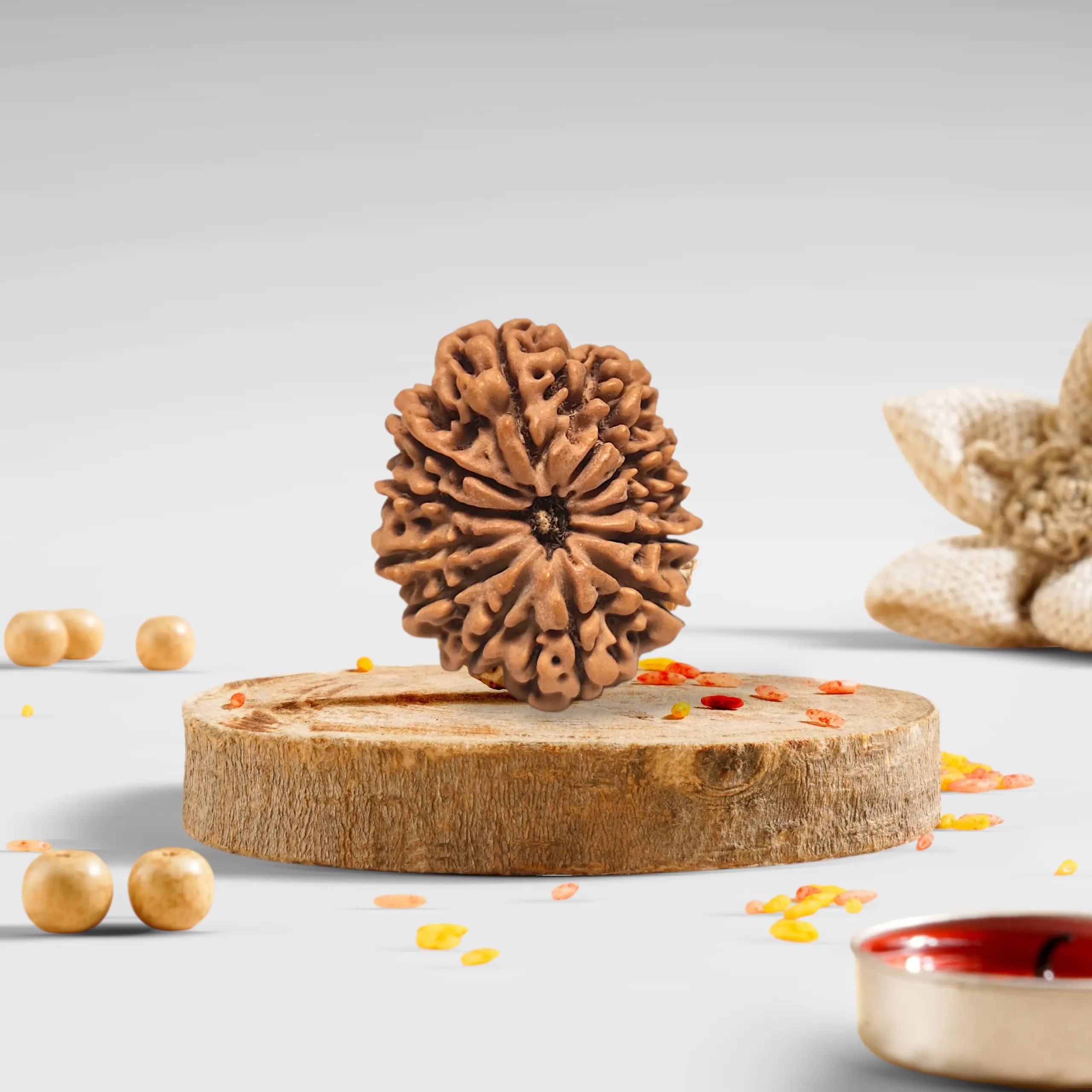 12 Mukhi Rudraksha Premium 