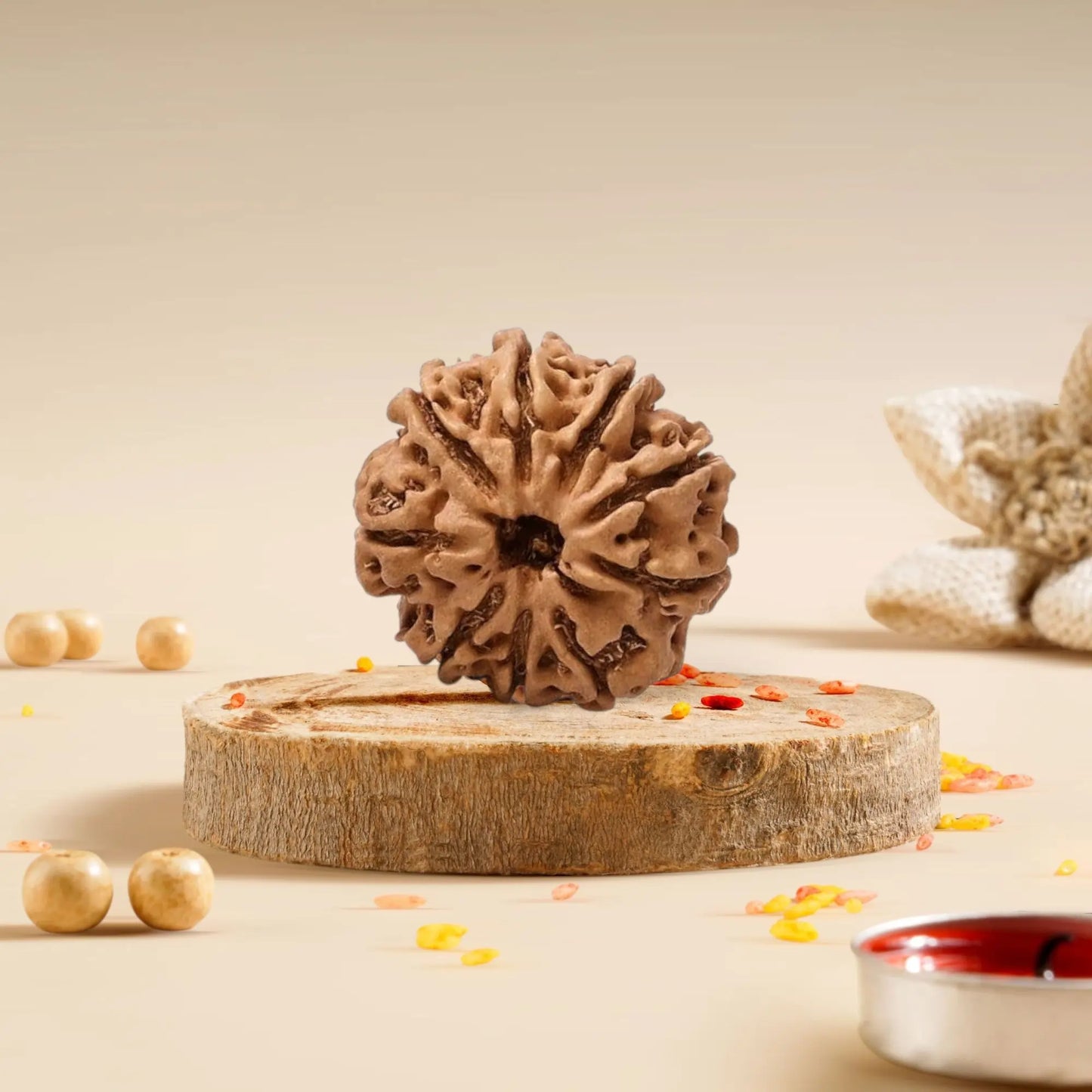 9 Mukhi Rudraksha Nepali