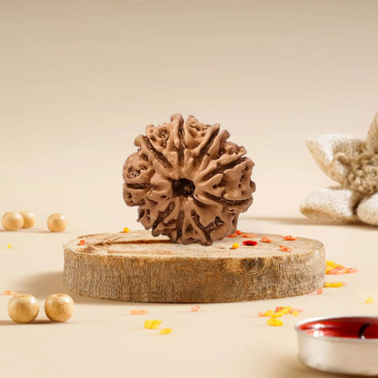 9 Mukhi Rudraksha Nepali