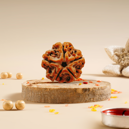 Buy 5 Mukhi Rudraksha Health